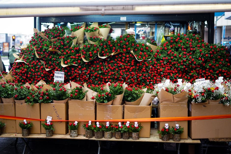 A display of vibrant red and white chrysanthemums arranged in large bouquets wrapped in brown paper, set outdoors on a market stand under a metallic roof. Multiple smaller pots of chrysanthemums with 